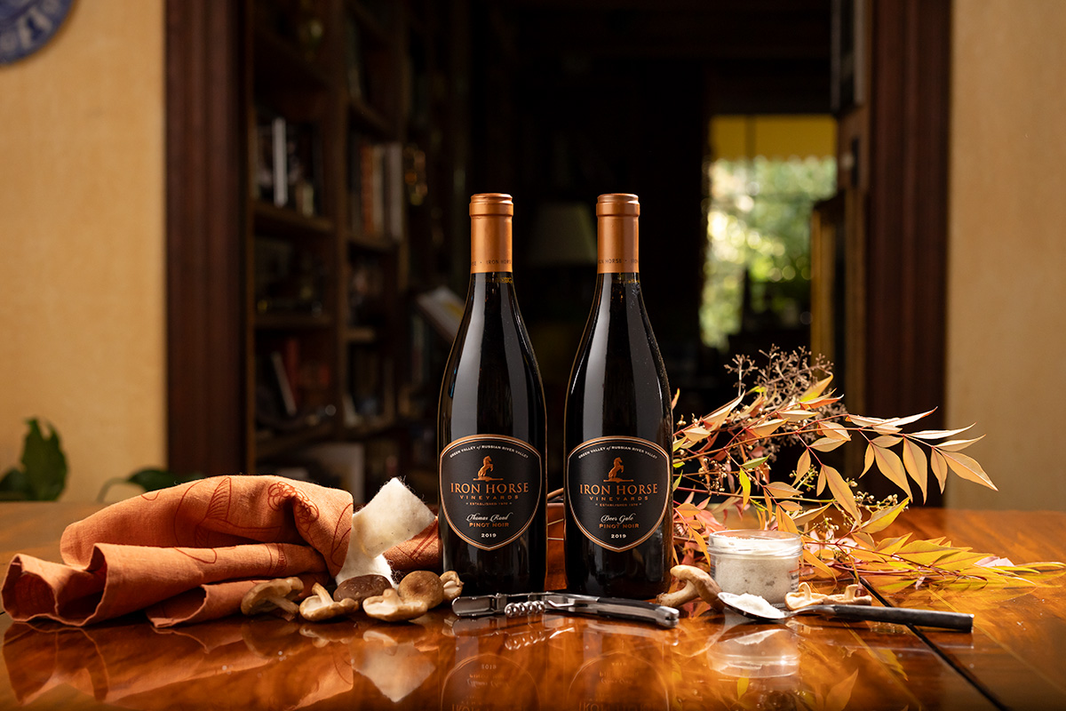 The Mycophile Gift Set